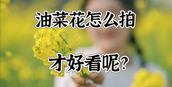 5个运镜，捕捉春日诗意